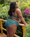 Sheer Mesh High Cut Brief Panty - Fanfare