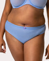 Sheer Mesh High Cut Brief Panty - Denim Blue