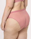 Sheer Mesh High Cut Brief Panty - Wisteria