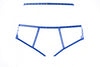 Charlotte Garter Panty, back view