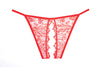 Enchanted Belle Panty, product view
