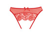 Exposé Panty, product view