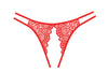 Lovestruck Panty | Love It Curvy