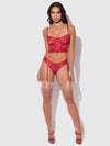 Harlow Lace & Mesh Bustier & Backless Hipster Set from Love It Curvy
