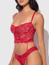 Harlow Lace & Mesh Bustier & Backless Hipster Set from Love It Curvy