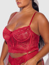 Harlow Lace & Mesh Bustier & Backless Hipster Set from Love It Curvy