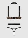 Devon Strappy Push Up Bra, Harness & G-String Set from Love It Curvy