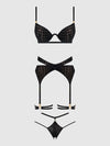 Snake Velvet-Burnout Mesh Bra, Garter, & Backess Hipster Set from Love It Curvy