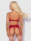 Brigeta Satin Deep Plunge Push Up Bra, Garter & Thong Set from Love It Curvy