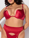 Brigeta Satin Deep Plunge Push Up Bra, Garter & Thong Set from Love It Curvy