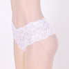Sexy Sheer Floral Lace Brief Panties in pink - Love It Curvy