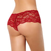 Sexy Sheer Floral Lace Brief Panties in aqua - Love It Curvy
