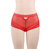 Classy Sheer Mesh High Waist Transparent Panty | Love it Curvy