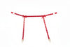 Ashley Garter & Panty Set, front view