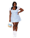 Dreamgirl Plus Size Blue Gingham Costume Dress | Love It Curvy