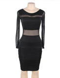 Black Mesh Sexy Bodycon Long Sleeves Dress