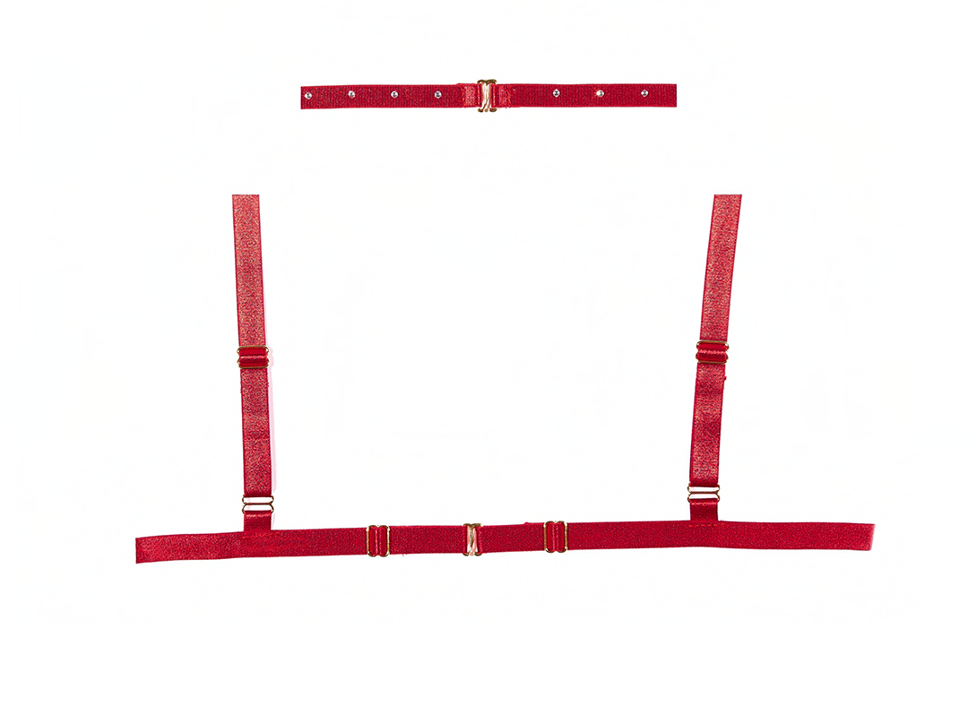 Margot Choker Bralette and Crotchless Panty Set in Red, back view