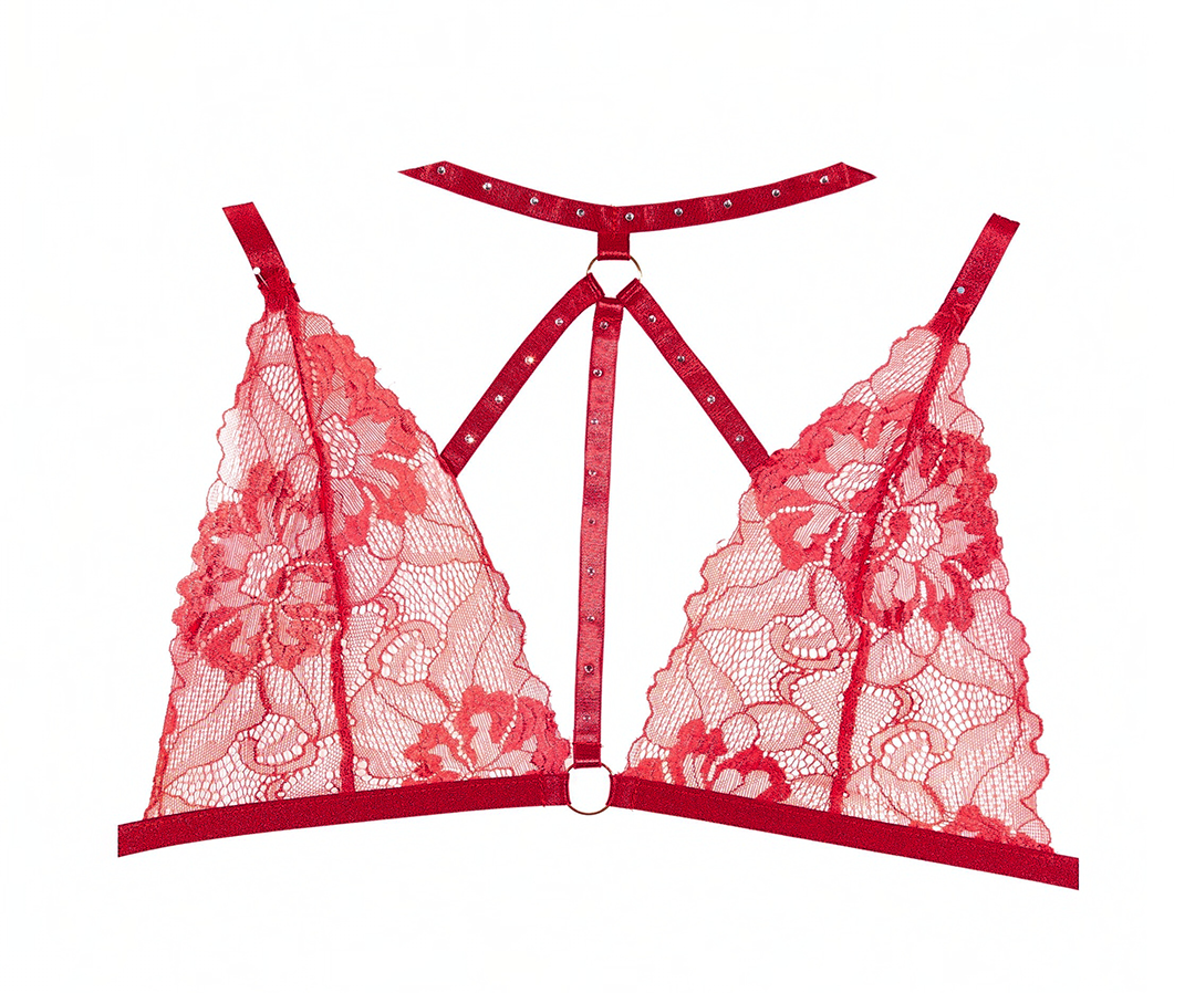 Margot Choker Bralette and Crotchless Panty Set in Red, front view