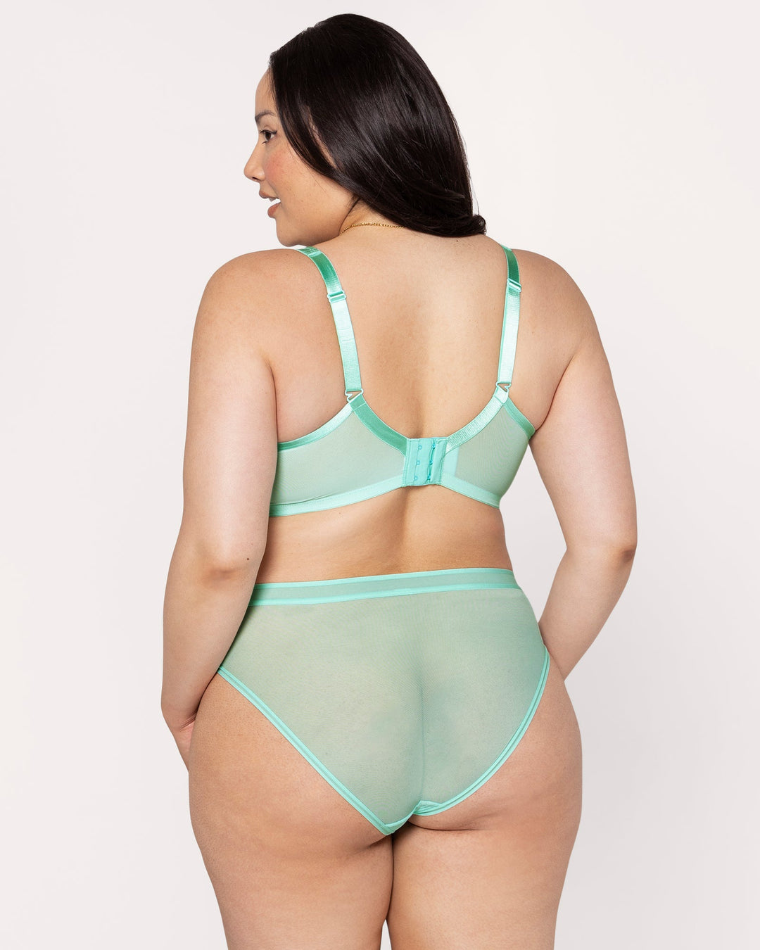 Sheer Mesh High Cut Brief Panty - Mint Chip