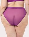 Sheer Mesh High Cut Brief Panty - Berry Bliss