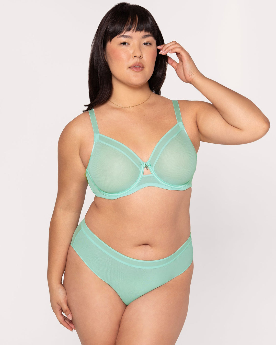 Sheer Mesh High Cut Brief Panty - Mint Chip