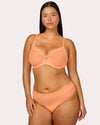 Sheer Mesh High Cut Brief Panty - Orange Tang