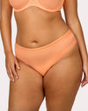 Sheer Mesh High Cut Brief Panty - Orange Tang