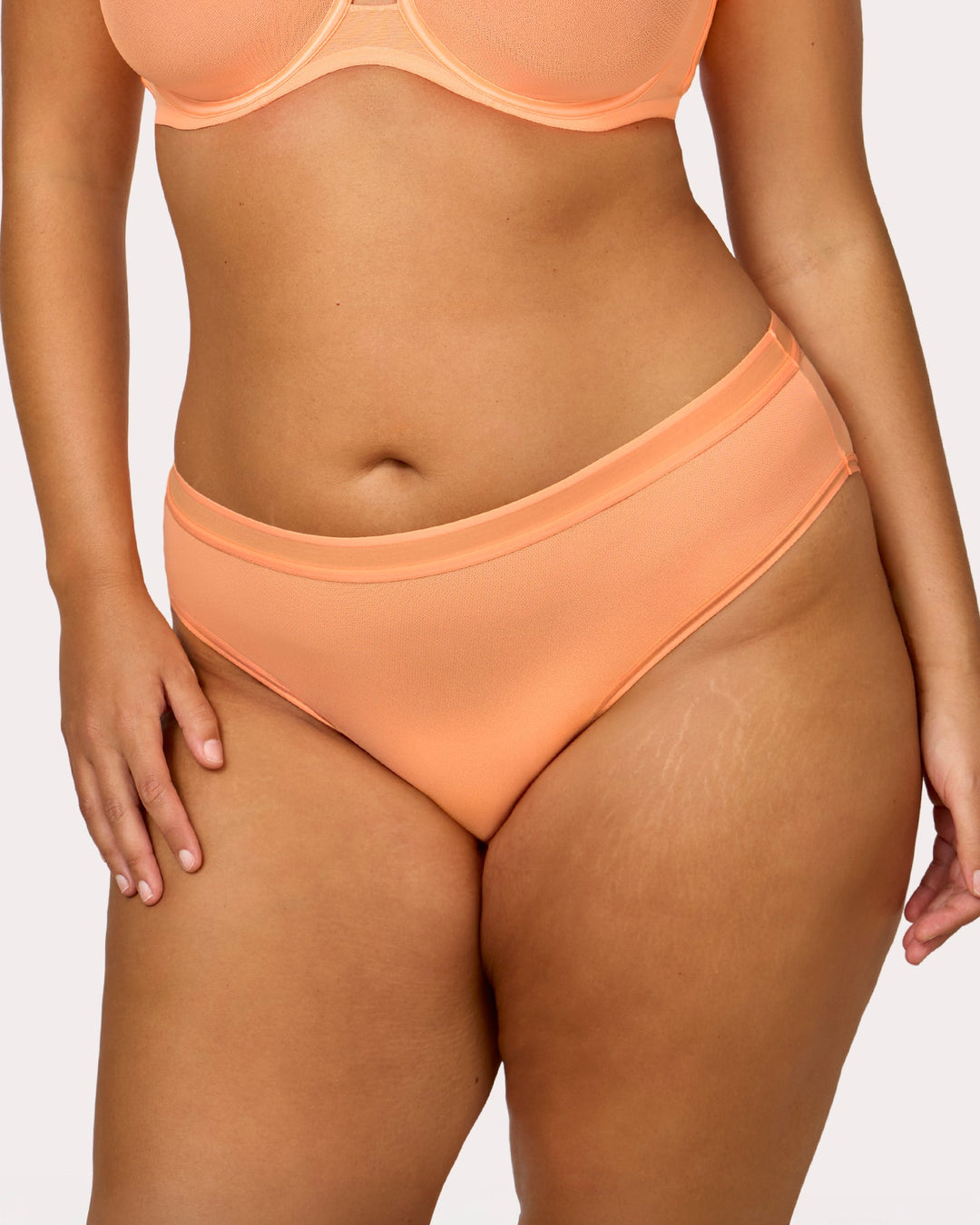 Sheer Mesh High Cut Brief Panty - Orange Tang