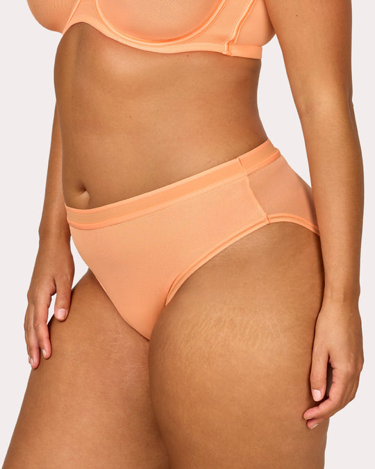Sheer Mesh High Cut Brief Panty - Orange Tang