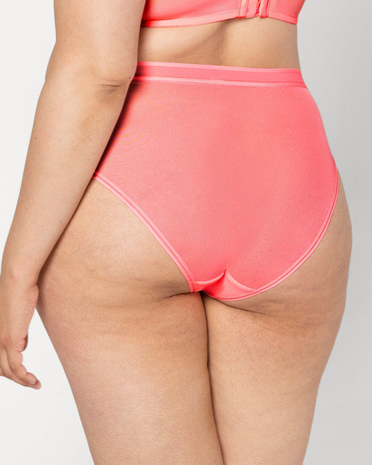 Sheer Mesh High Cut Brief Panty - Sunset Glow