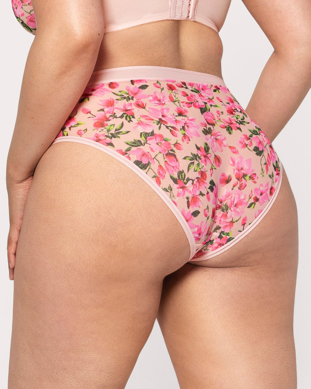Sheer Mesh High Cut Brief Panty - In Full Bloom Pink