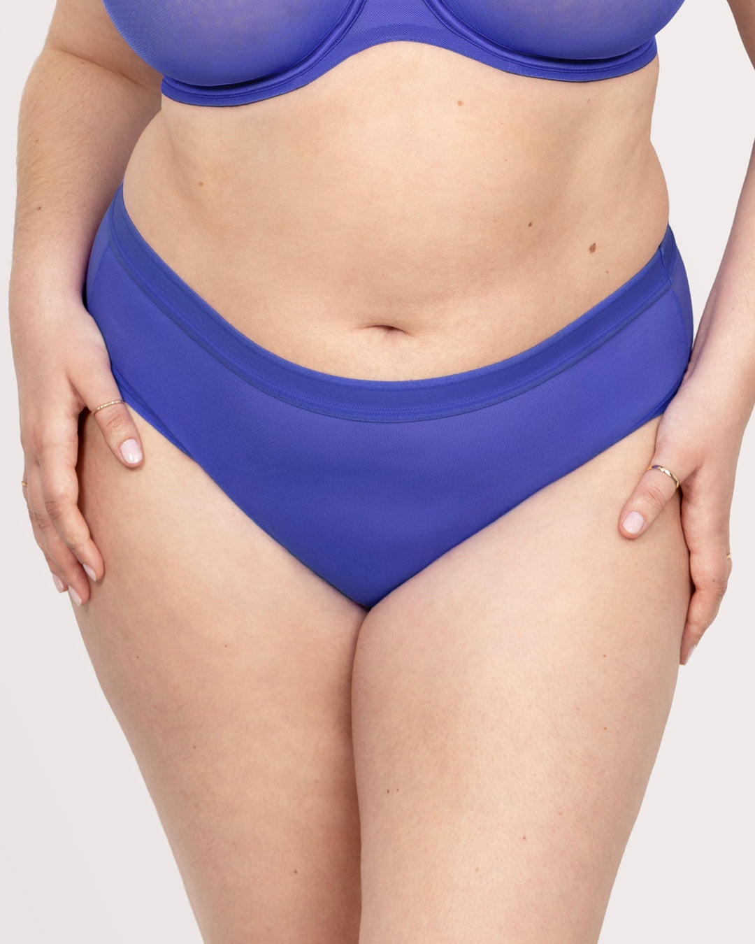 Sheer Mesh High Cut Brief Panty - Radiant Plum