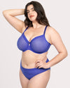 Sheer Mesh High Cut Brief Panty - Radiant Plum