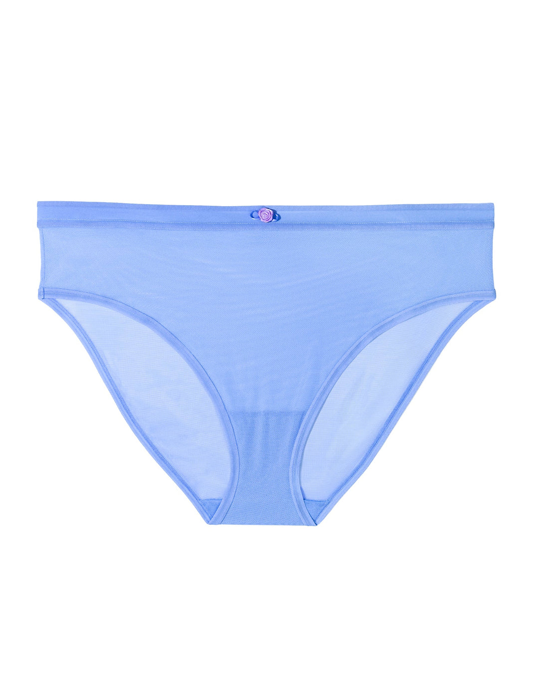 Sheer Mesh High Cut Brief Panty - Denim Blue