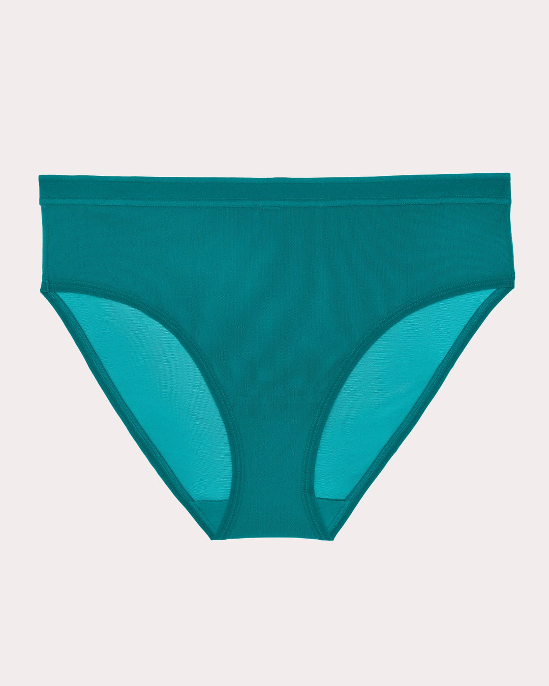 Sheer Mesh High Cut Brief Panty - Fanfare