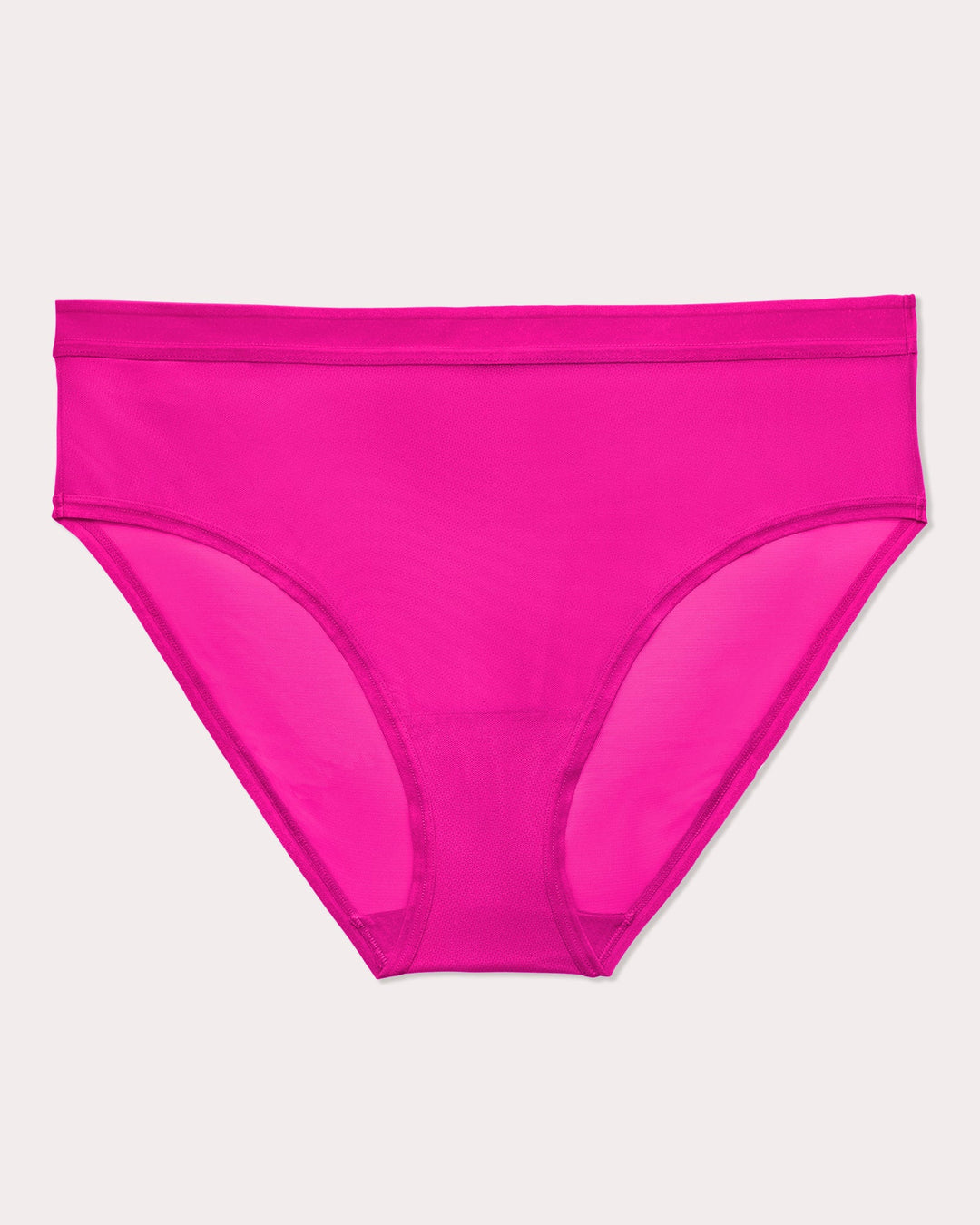 Sheer Mesh High Cut Brief Panty - Glamberry