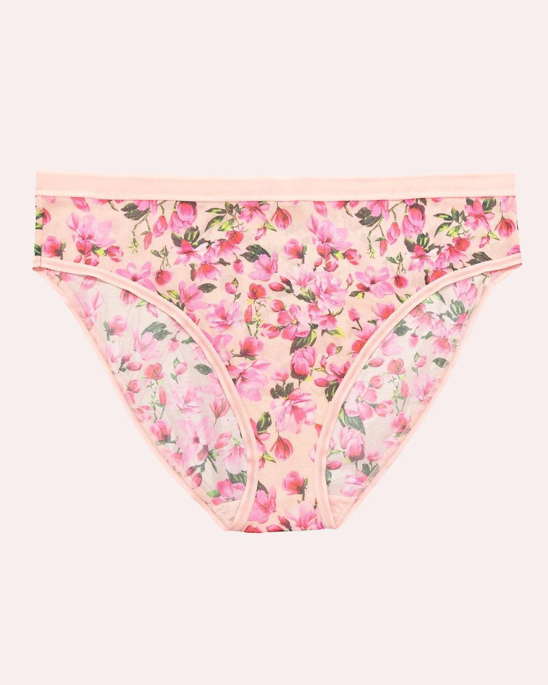 Sheer Mesh High Cut Brief Panty - In Full Bloom Pink