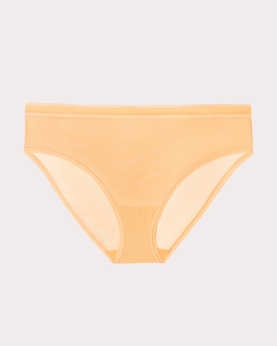 Sheer Mesh High Cut Brief Panty - Orange Tang