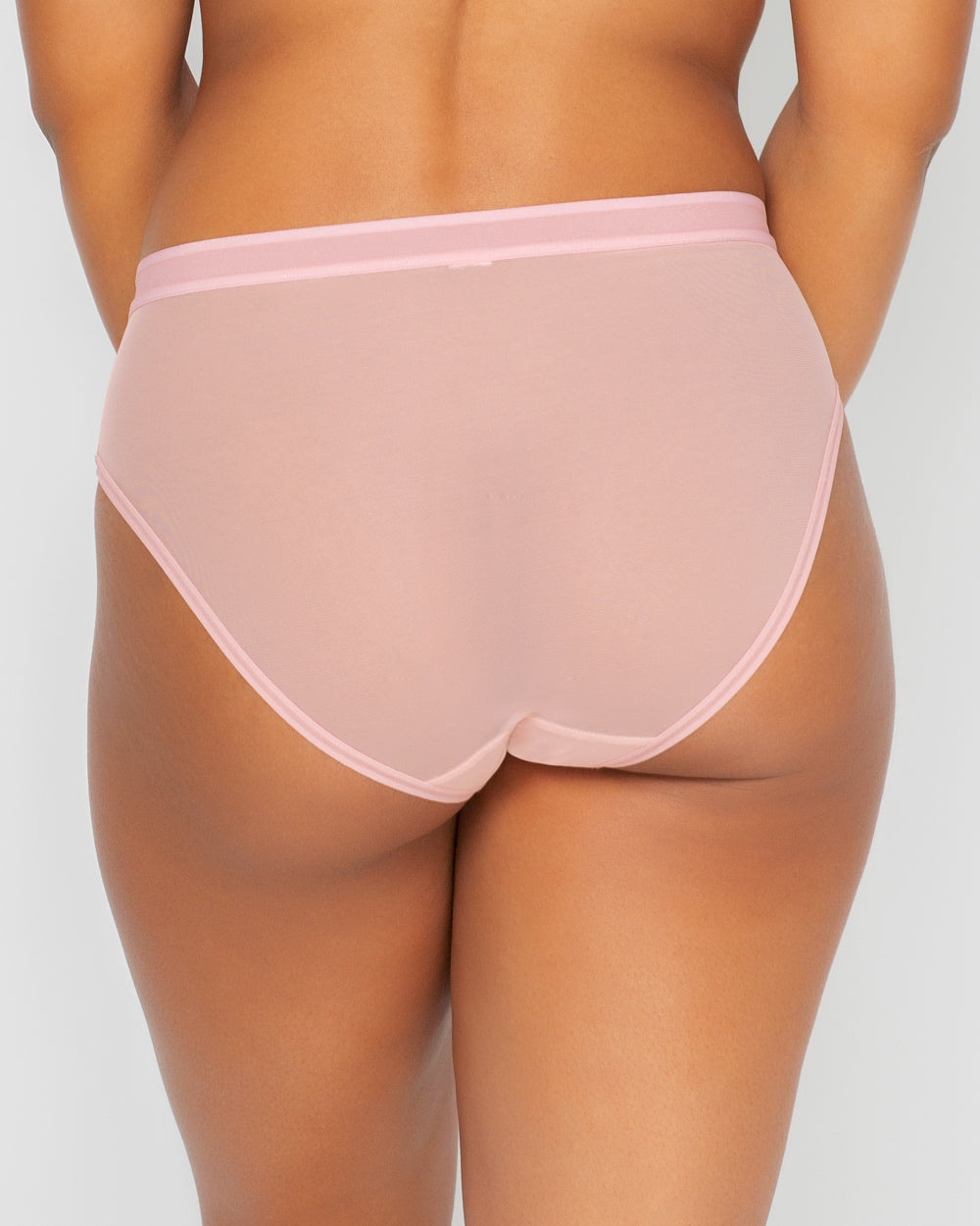 Sheer Mesh High Cut Brief - Blushing Rose