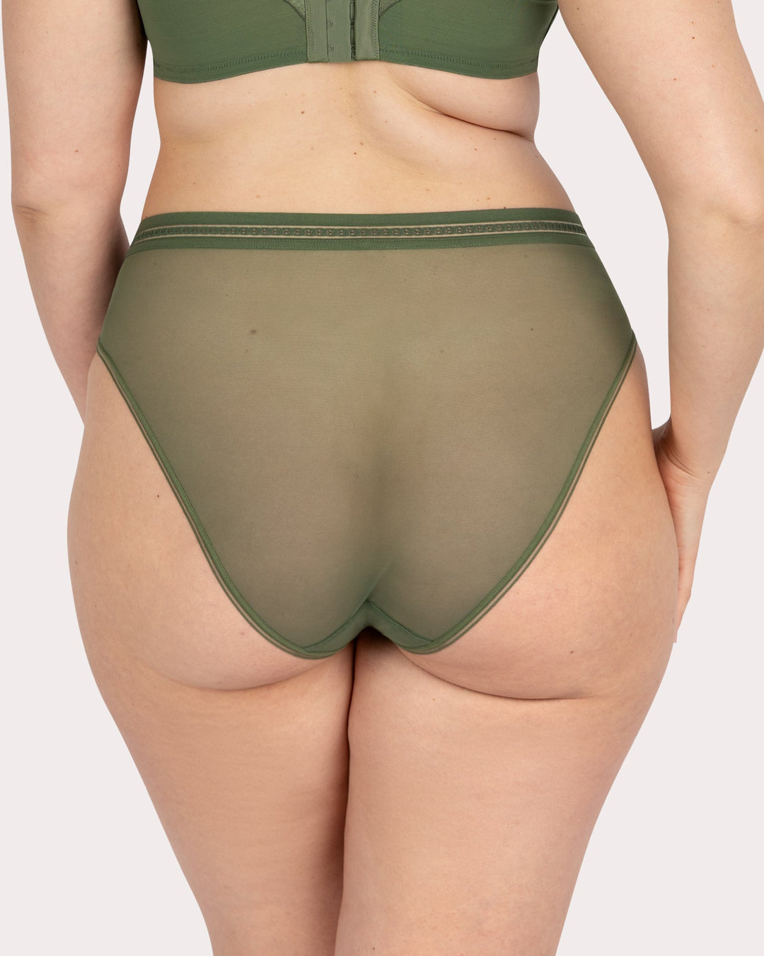 Sheer Mesh High Cut Brief Panty - Bronze Green