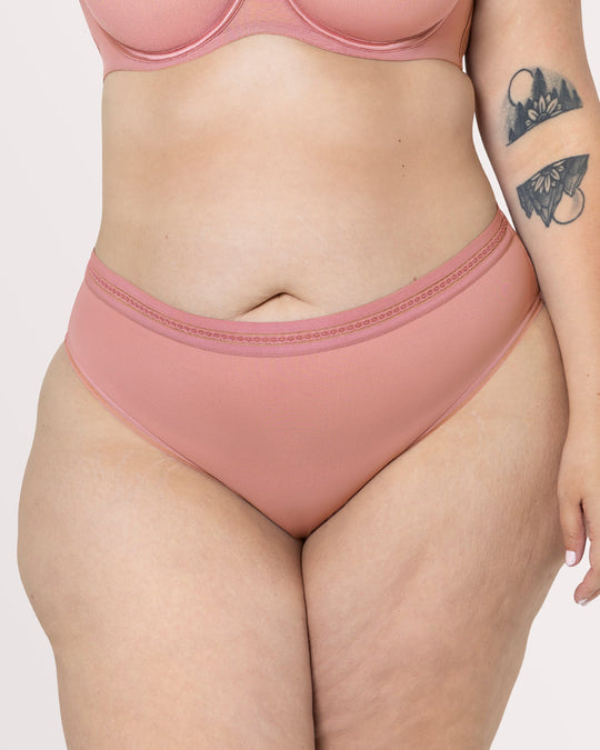 Sheer Mesh High Cut Brief Panty - Wisteria