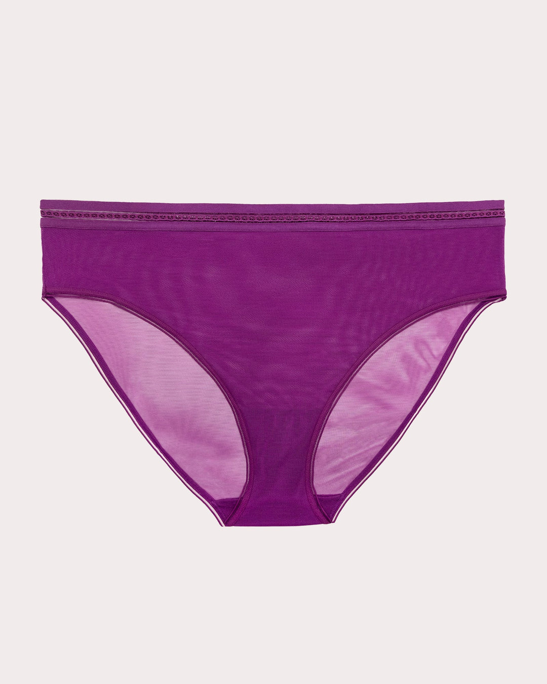 Sheer Mesh High Cut Brief Panty - Berry Bliss
