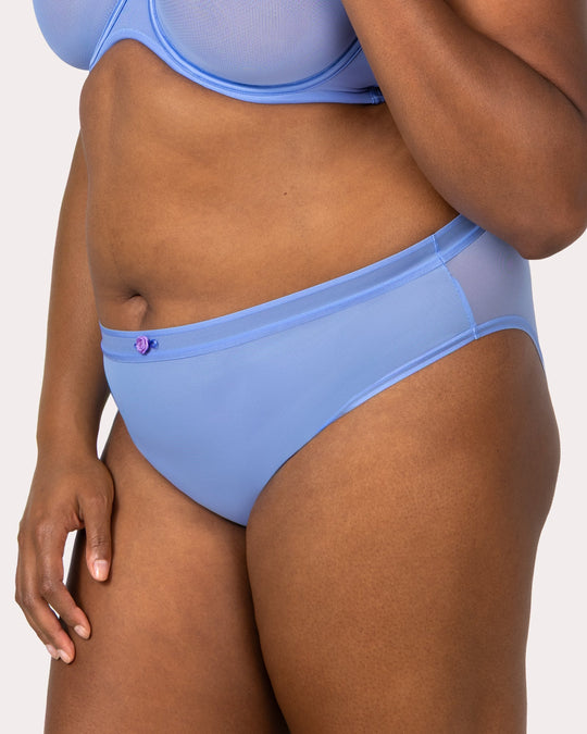 Sheer Mesh High Cut Brief Panty - Denim Blue