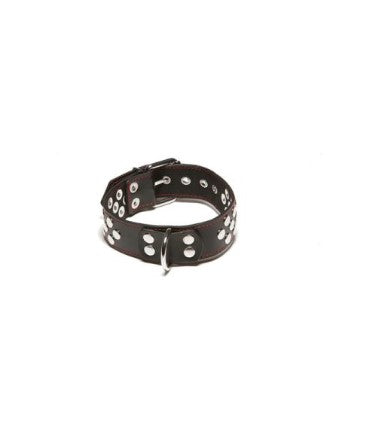 X-Play Adjustable D-Ring Collar, product view