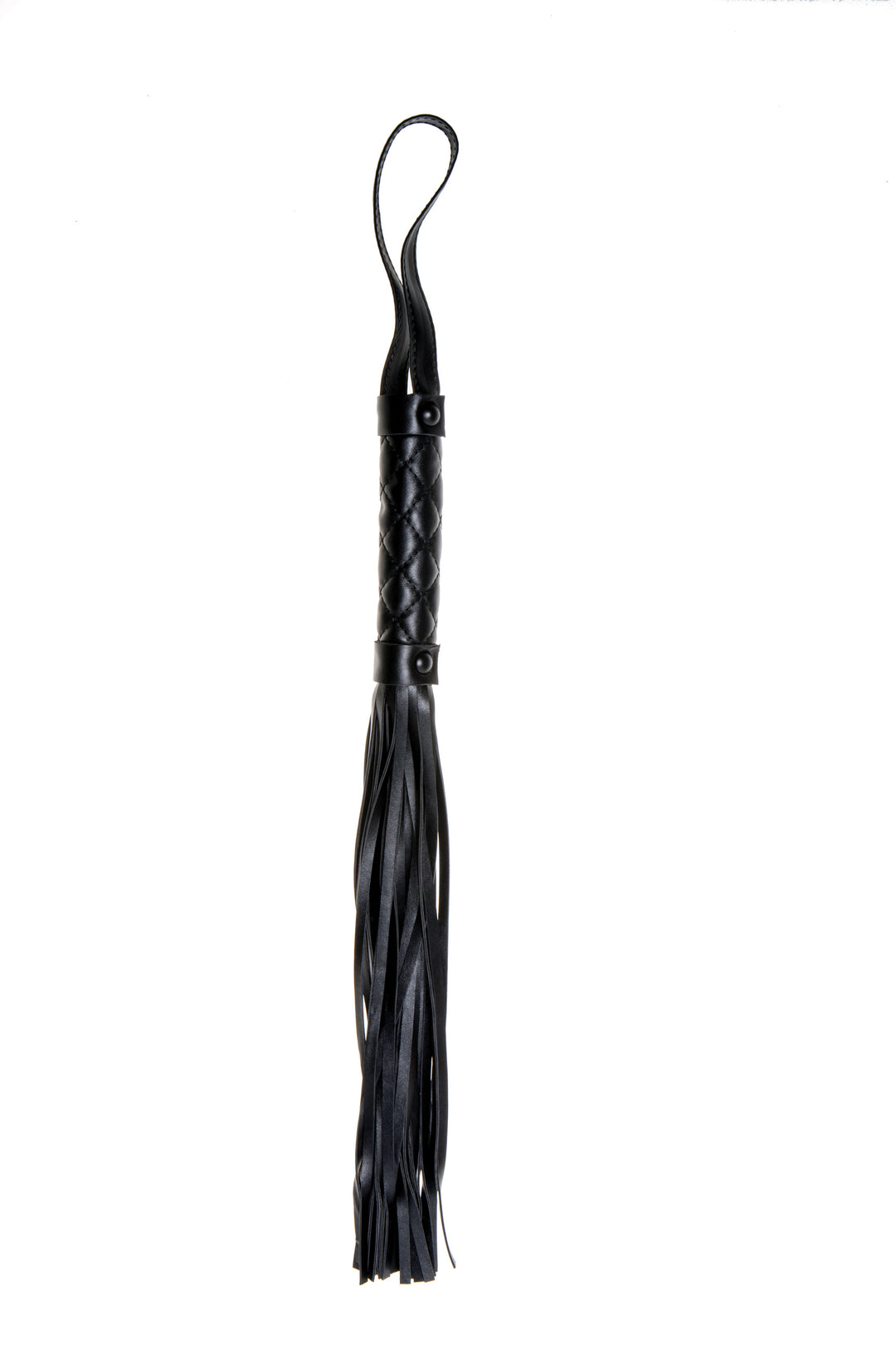 X-Play Whip, product view