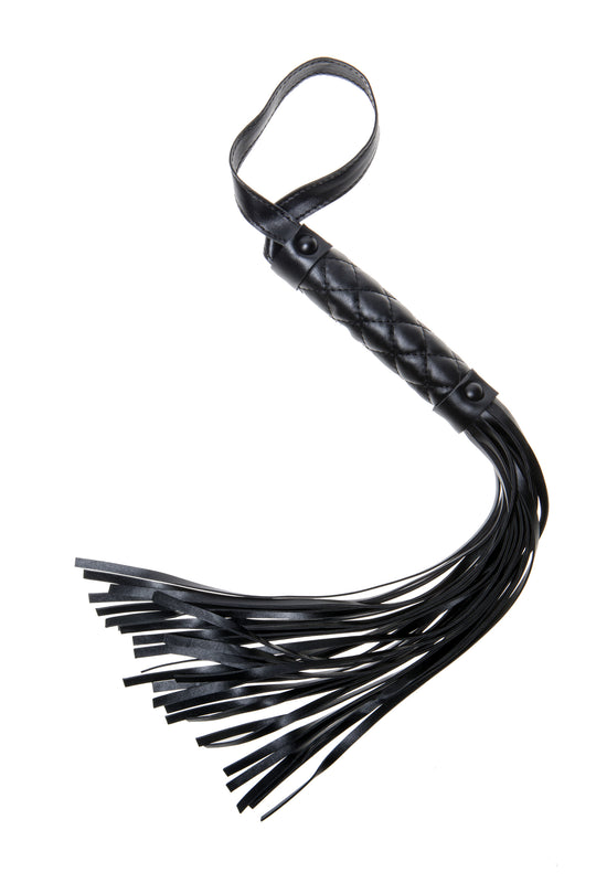 X-Play Whip, product view