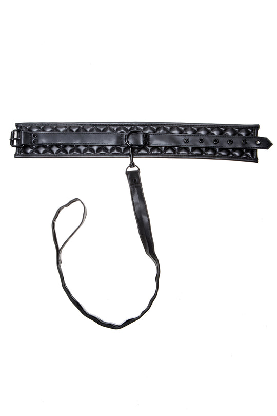 Allure Collar and Leash Set, product view