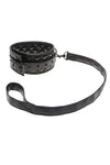 Allure Collar and Leash Set, product view