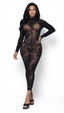 Innocent Touch Sheer Lace Dress shown on model