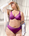 Sheer Mesh High Cut Brief Panty - Berry Bliss